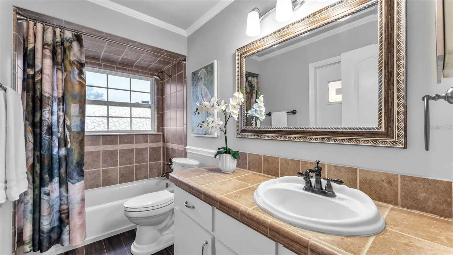 7729 Lake Andrea Circle Mount Dora FL 32757
