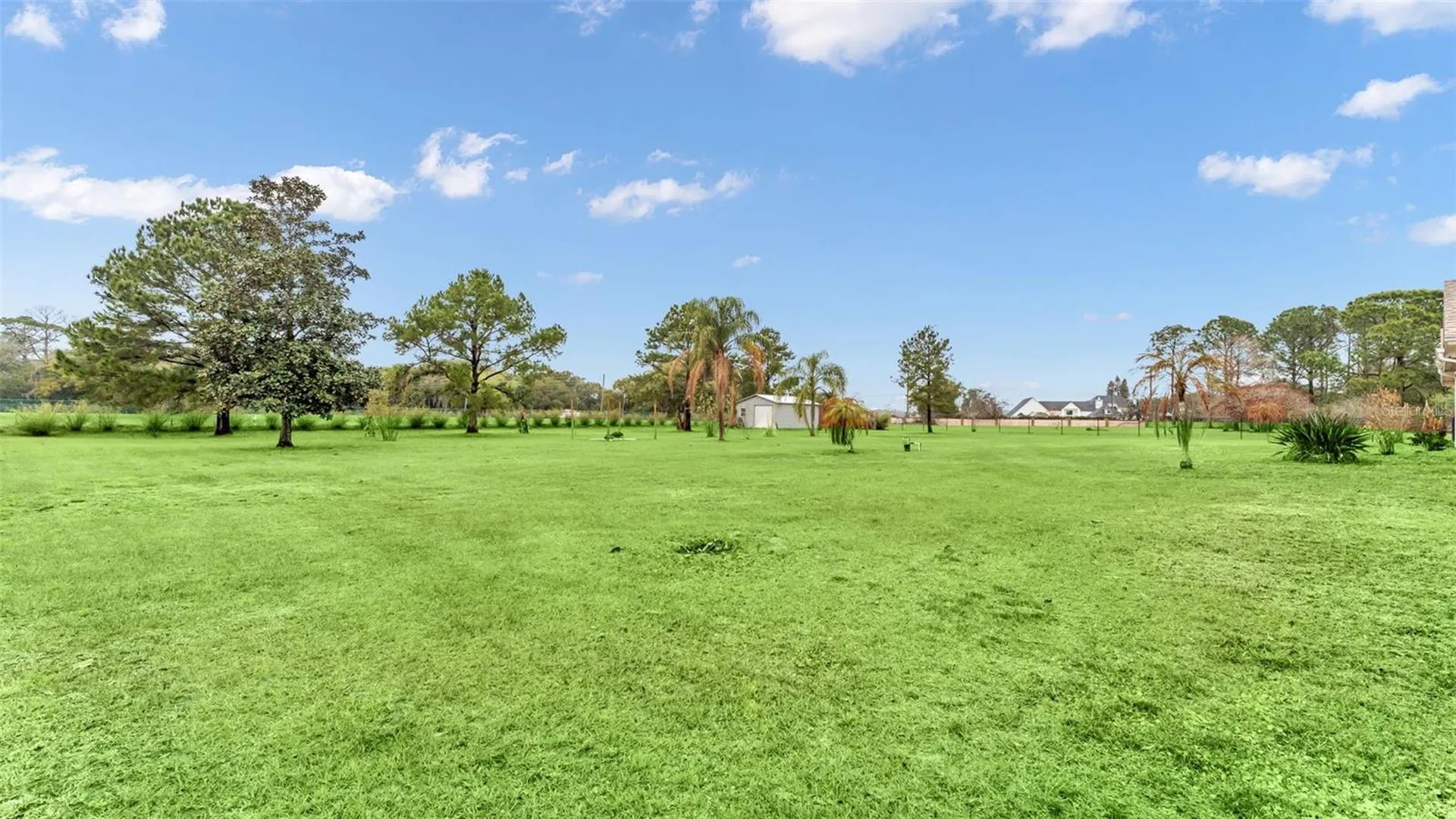 7729 Lake Andrea Circle Mount Dora FL 32757