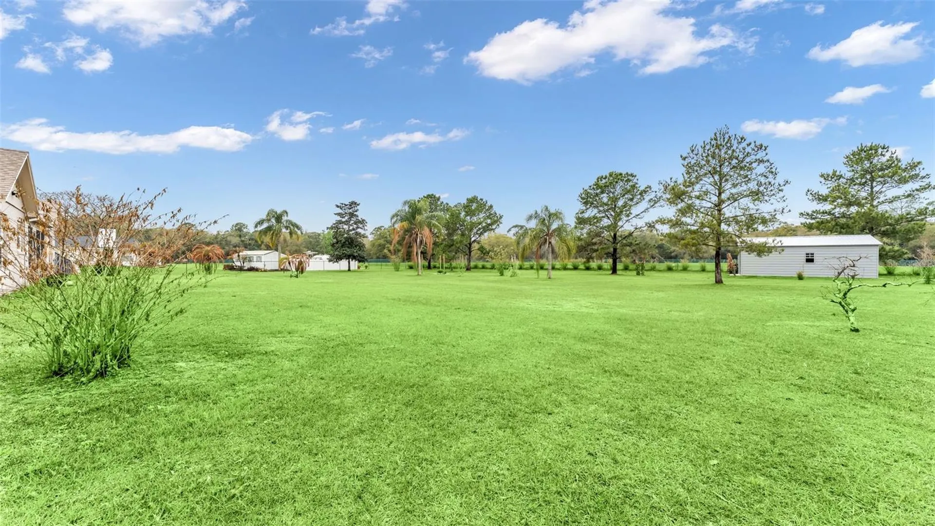 7729 Lake Andrea Circle Mount Dora FL 32757