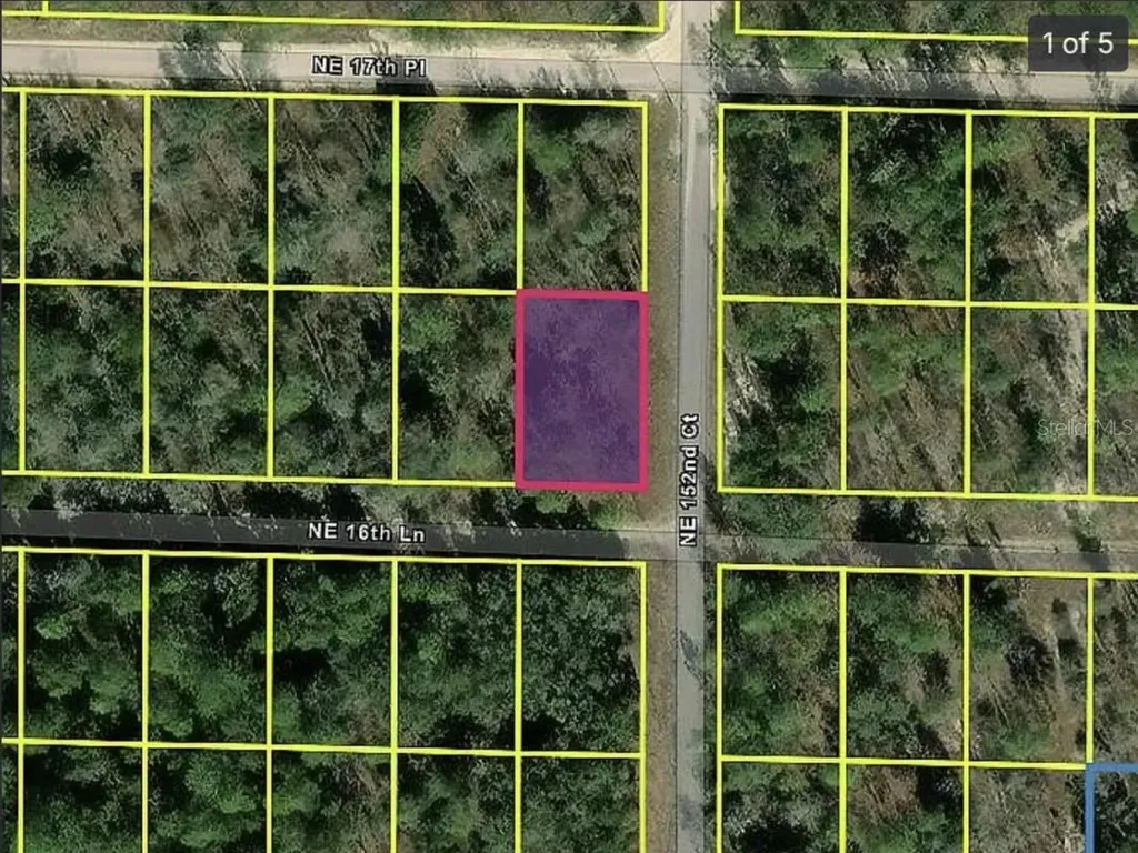 0 NE 16th Place Williston FL 32696