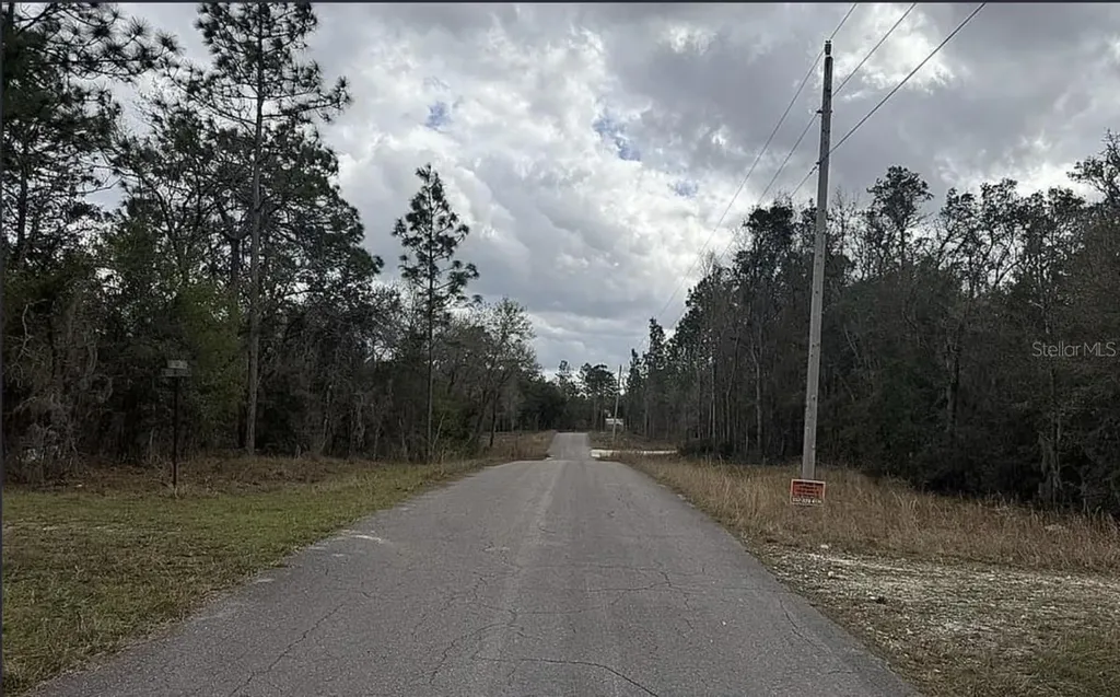 0 NE 16th Place Williston FL 32696