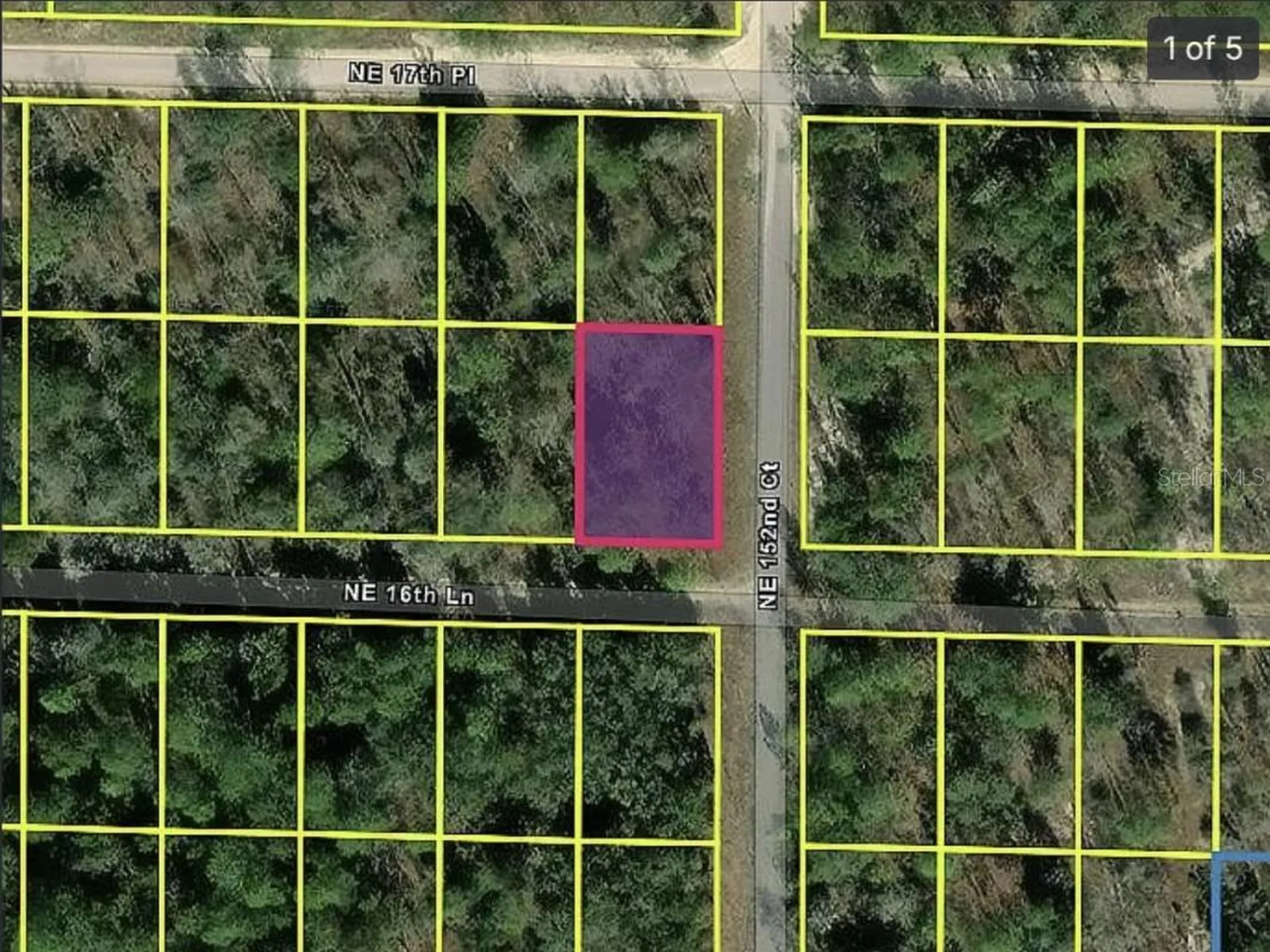 0 NE 16th Place Williston FL 32696