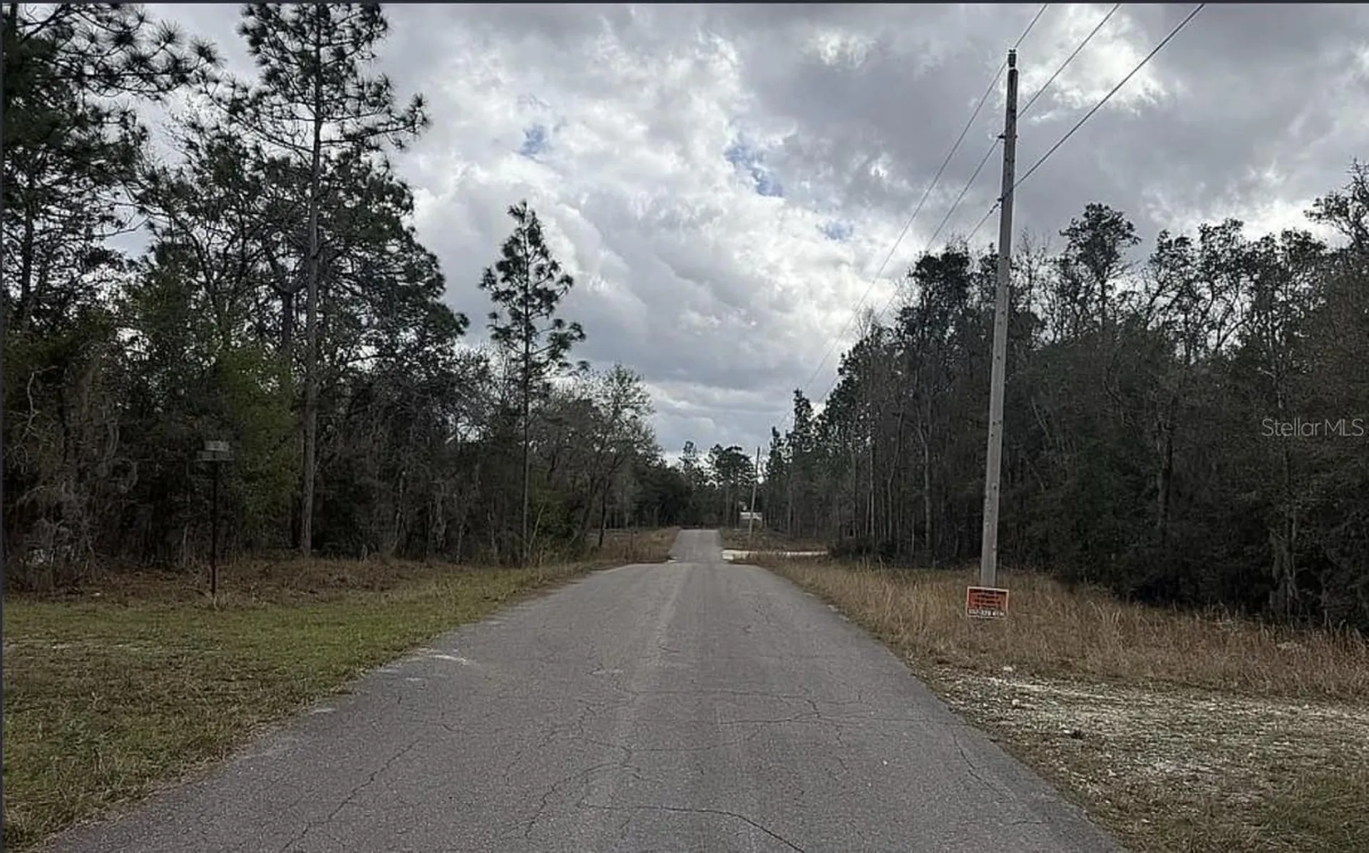 0 NE 16th Place Williston FL 32696