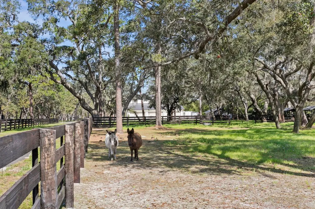 10101 Tarpon Springs Road Odessa FL 33556