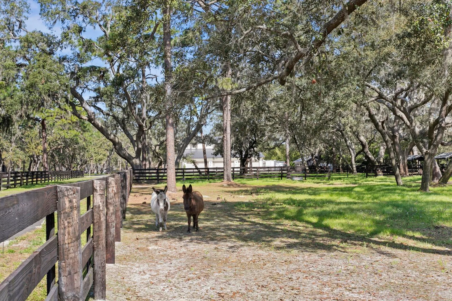 10101 Tarpon Springs Road Odessa FL 33556