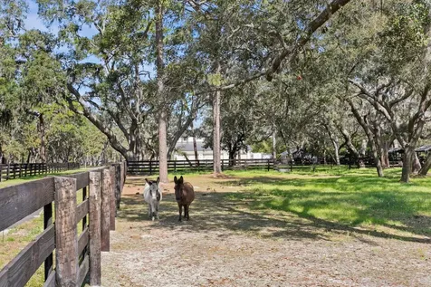 10101 Tarpon Springs Road Odessa FL 33556