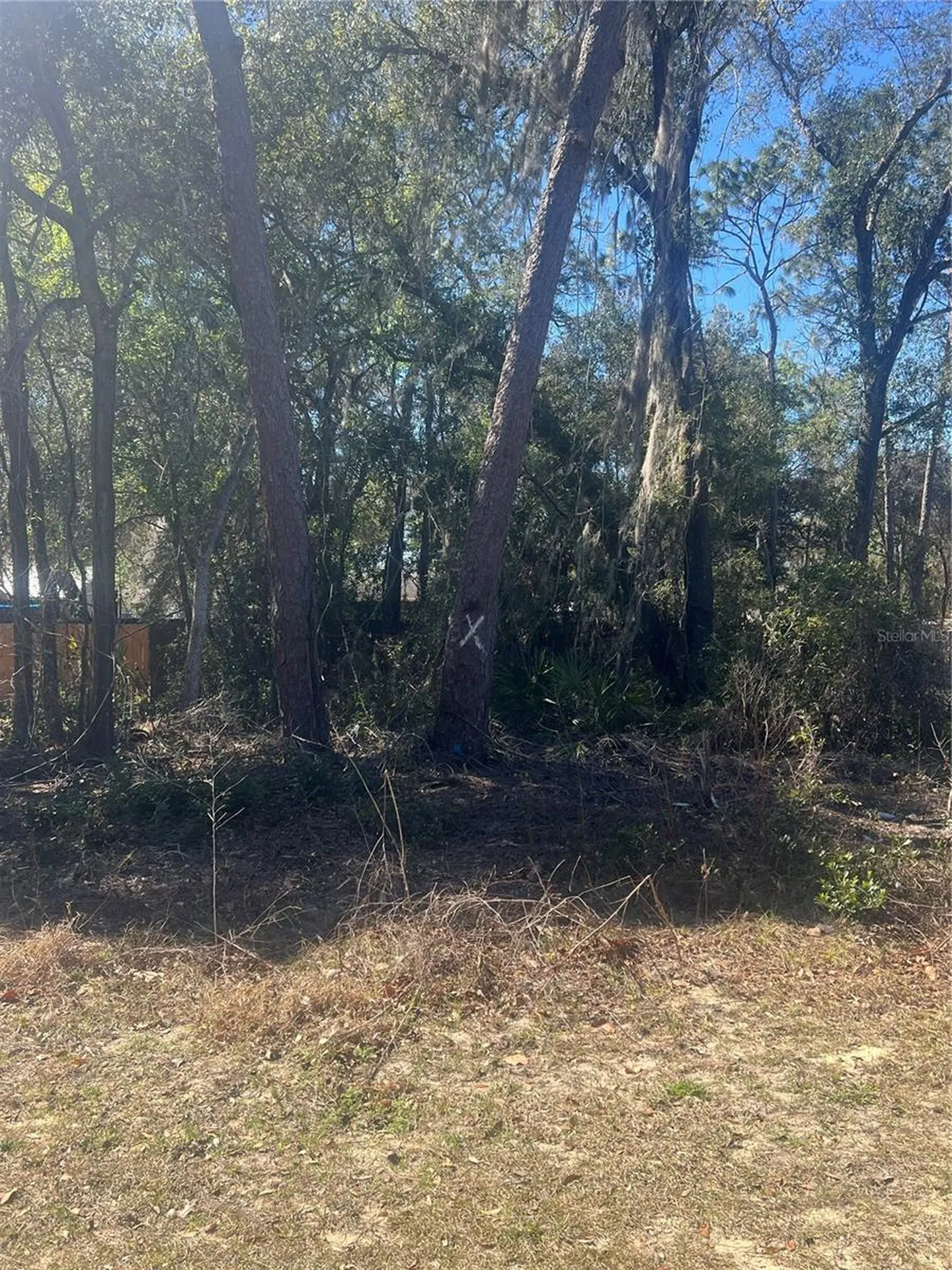 W Second Avenue Umatilla FL 32784