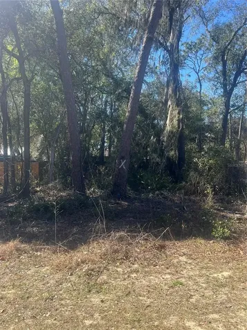 W Second Avenue Umatilla FL 32784