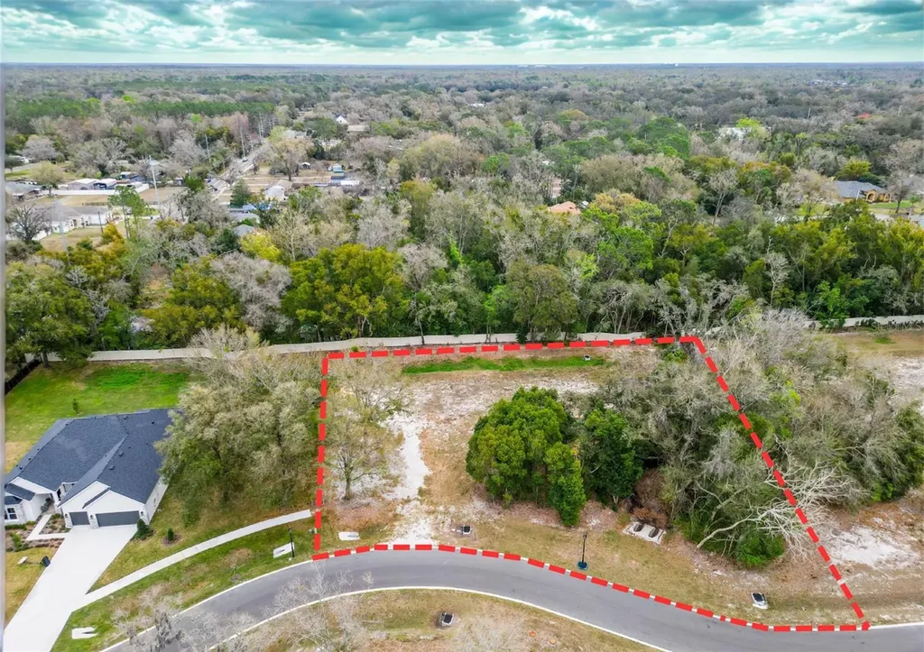 18469 Purple Creek Lane Lutz FL 33549