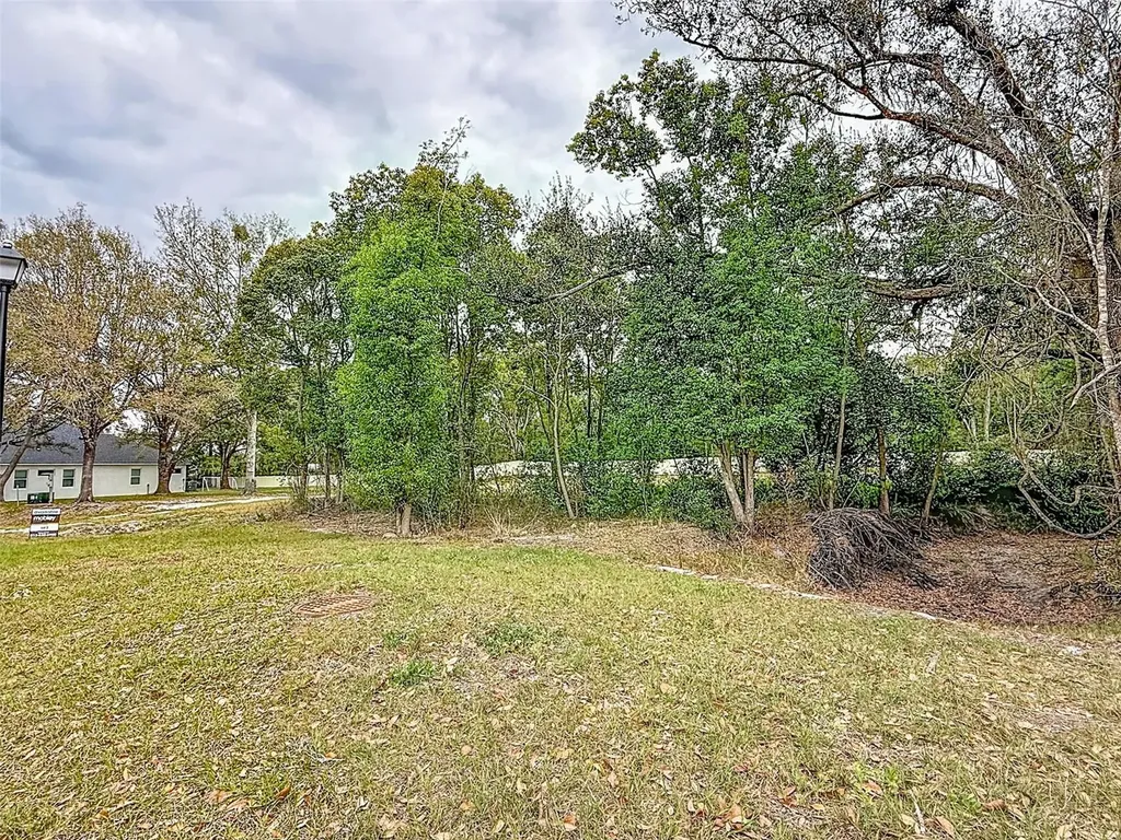 18469 Purple Creek Lane Lutz FL 33549