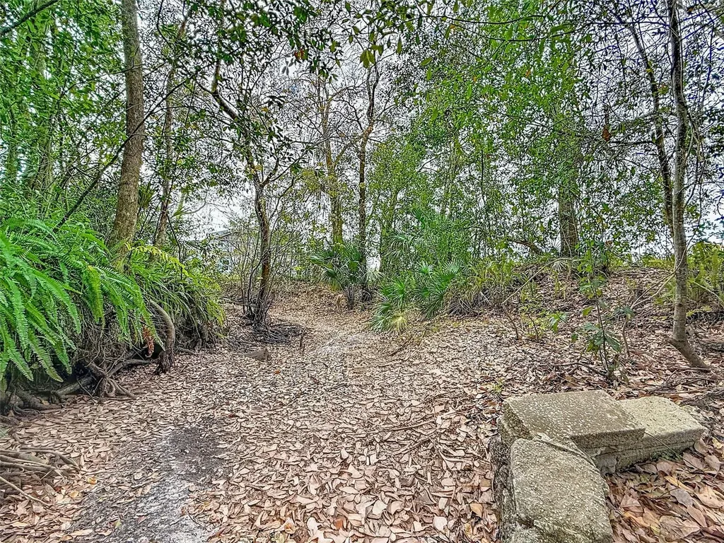 18469 Purple Creek Lane Lutz FL 33549