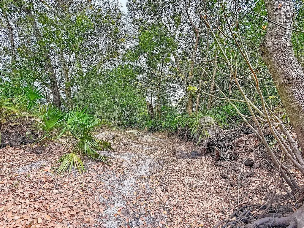 18469 Purple Creek Lane Lutz FL 33549