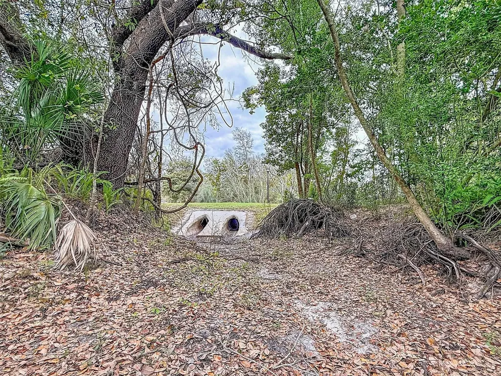 18469 Purple Creek Lane Lutz FL 33549