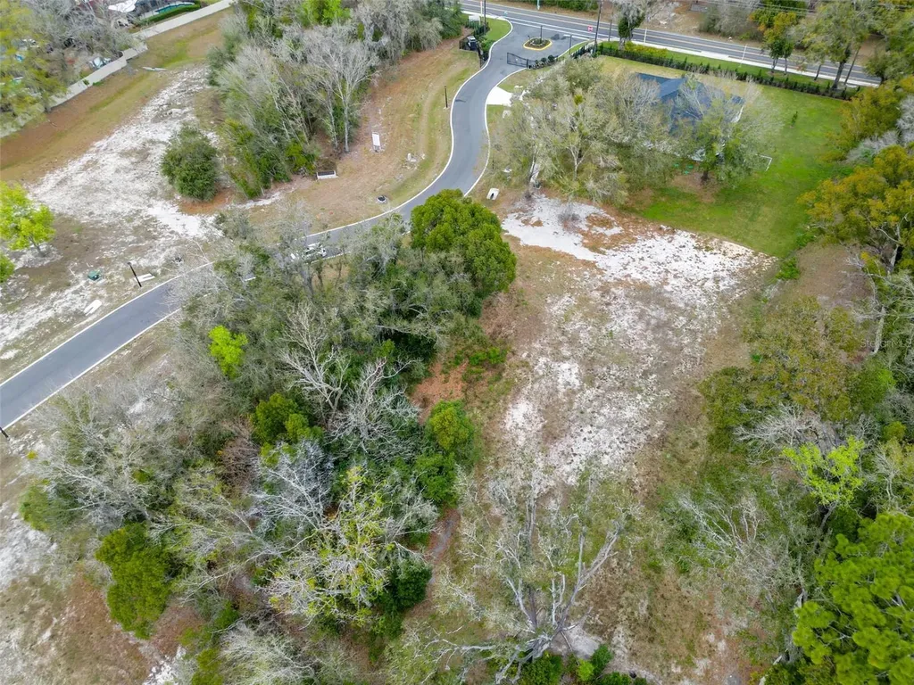 18469 Purple Creek Lane Lutz FL 33549
