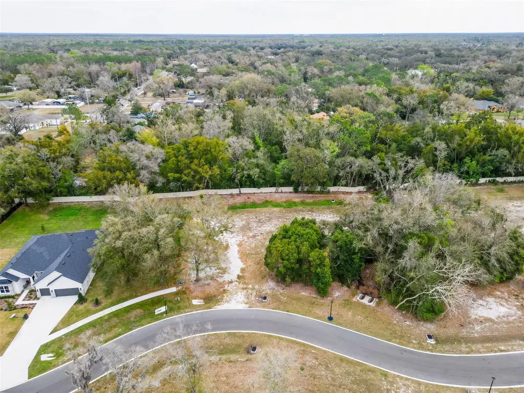 18469 Purple Creek Lane Lutz FL 33549