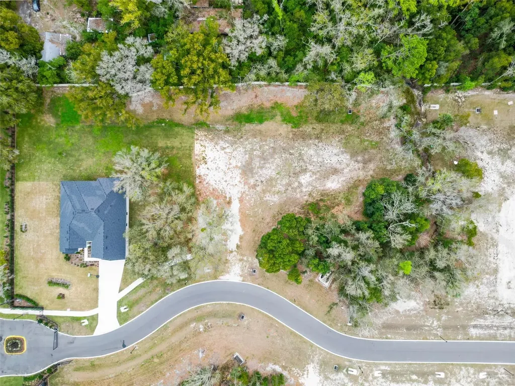 18469 Purple Creek Lane Lutz FL 33549