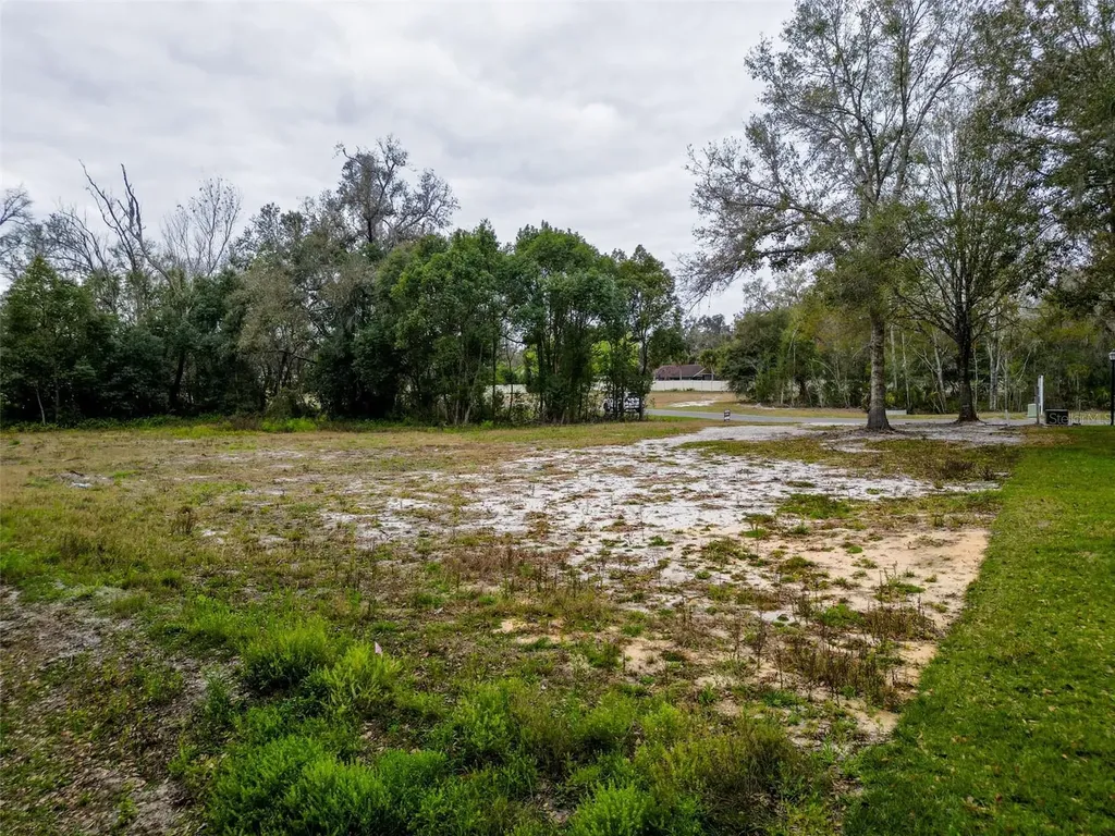 18469 Purple Creek Lane Lutz FL 33549