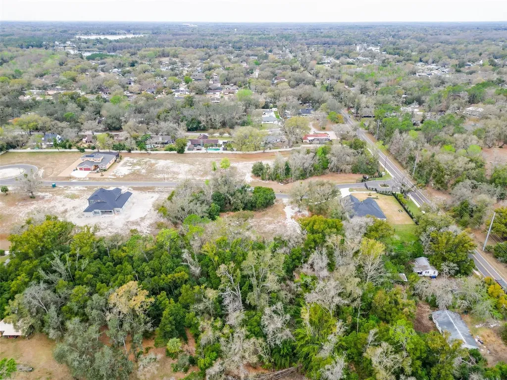 18469 Purple Creek Lane Lutz FL 33549