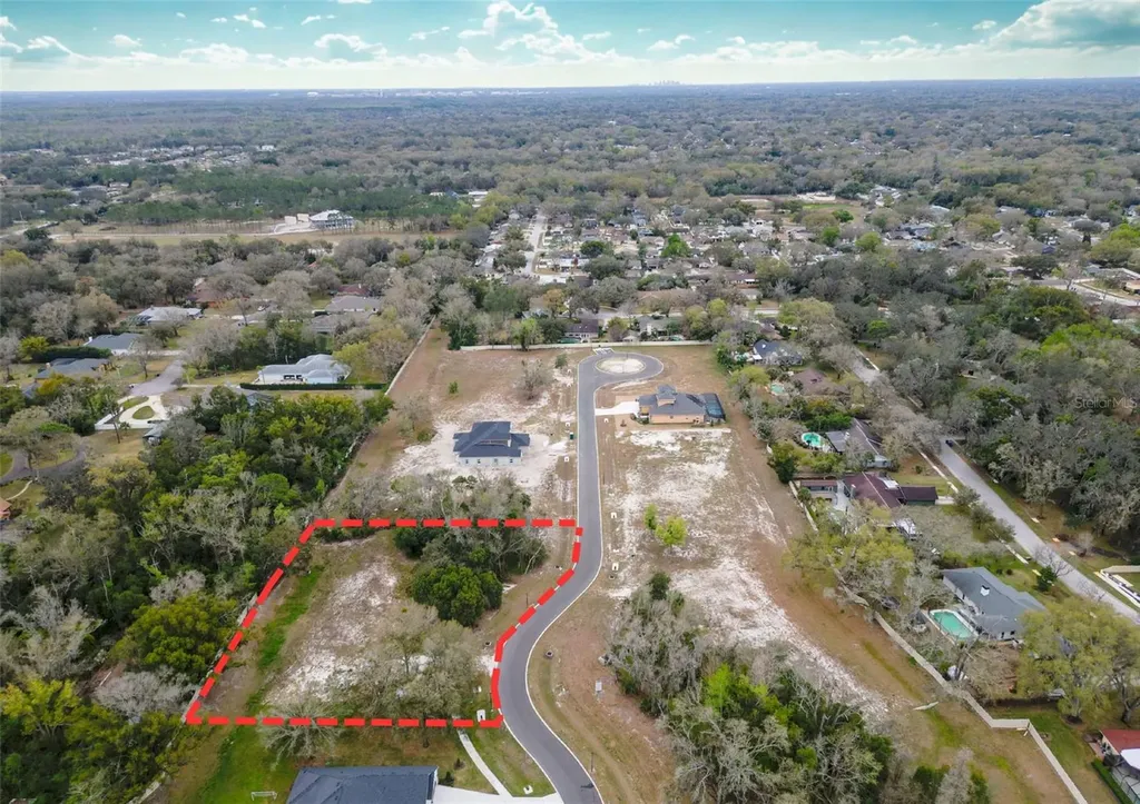 18469 Purple Creek Lane Lutz FL 33549