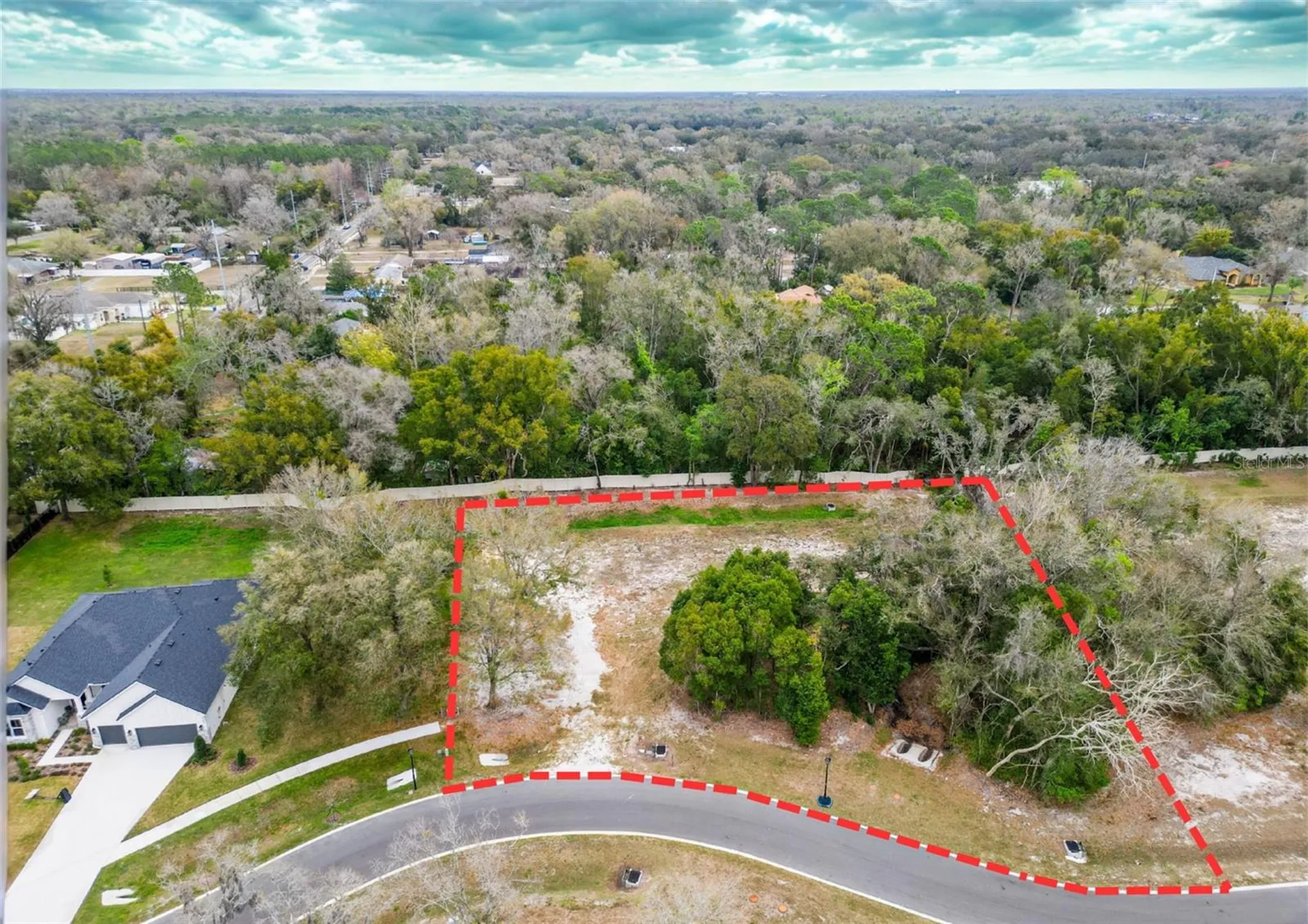 18469 Purple Creek Lane Lutz FL 33549