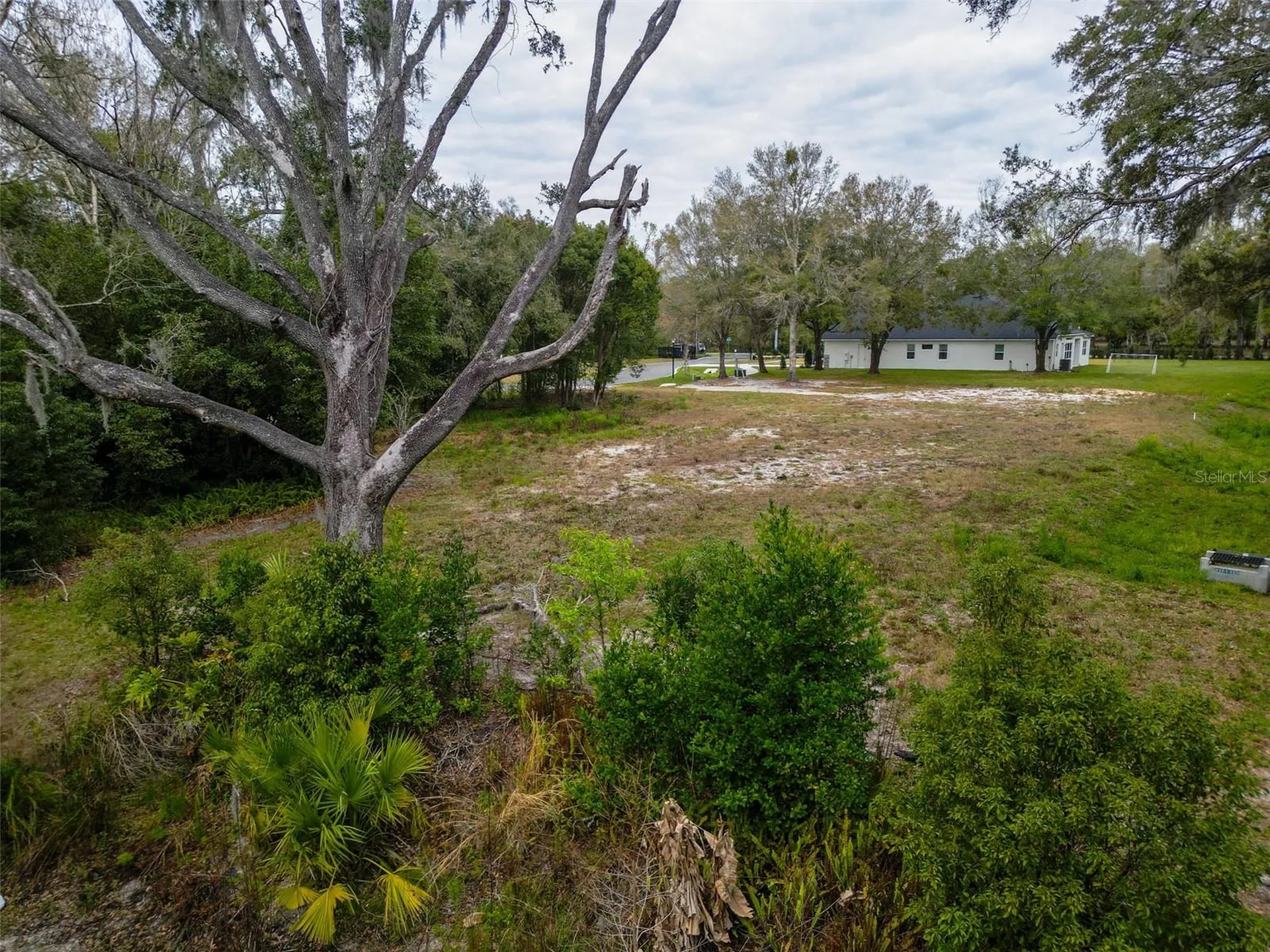 18469 Purple Creek Lane Lutz FL 33549