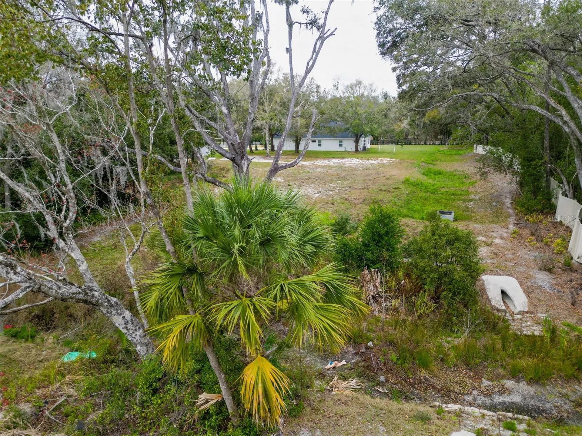 18469 Purple Creek Lane Lutz FL 33549