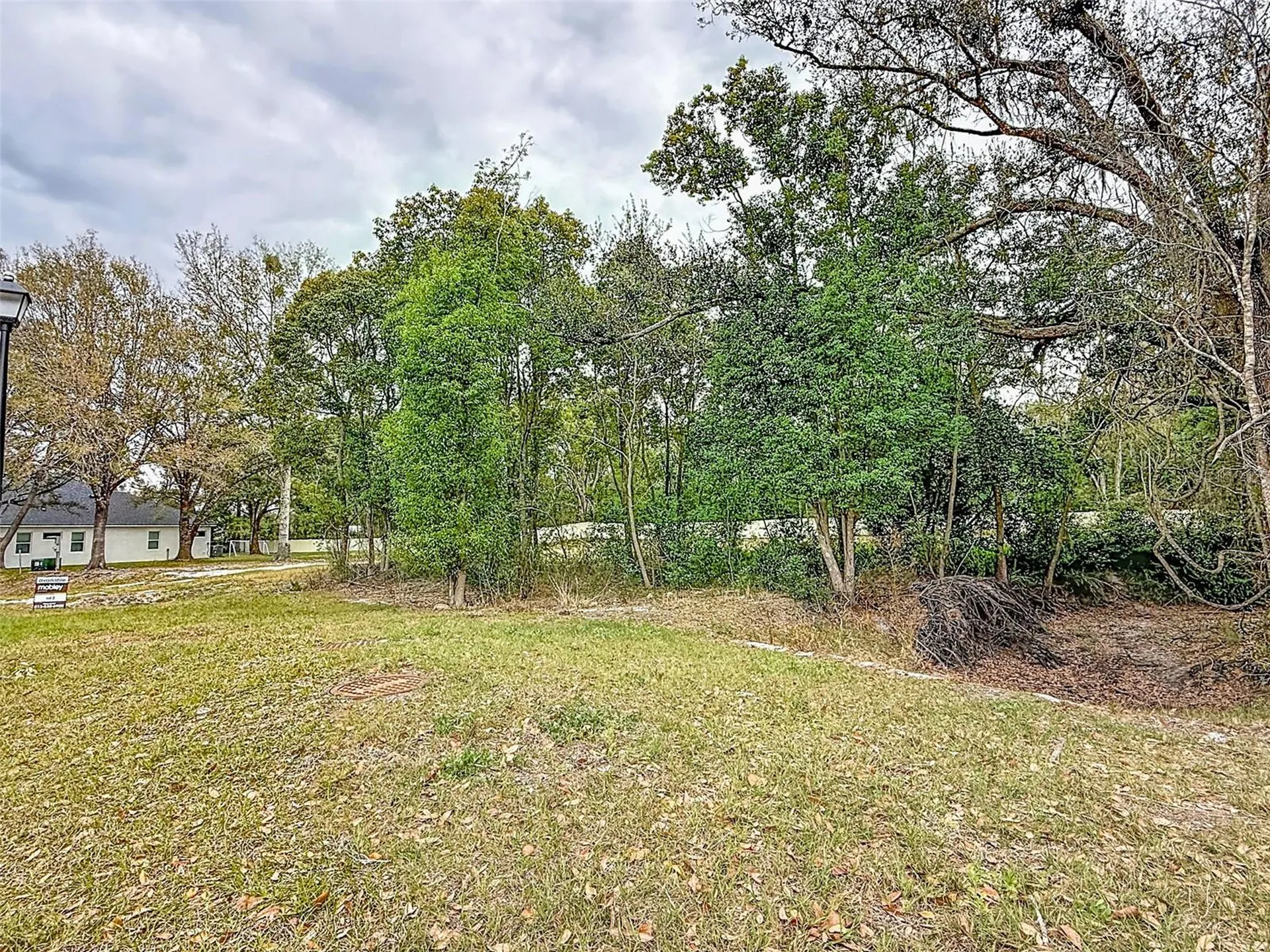 18469 Purple Creek Lane Lutz FL 33549