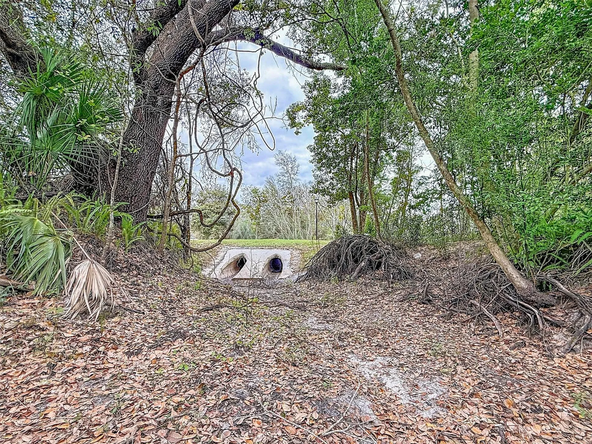 18469 Purple Creek Lane Lutz FL 33549