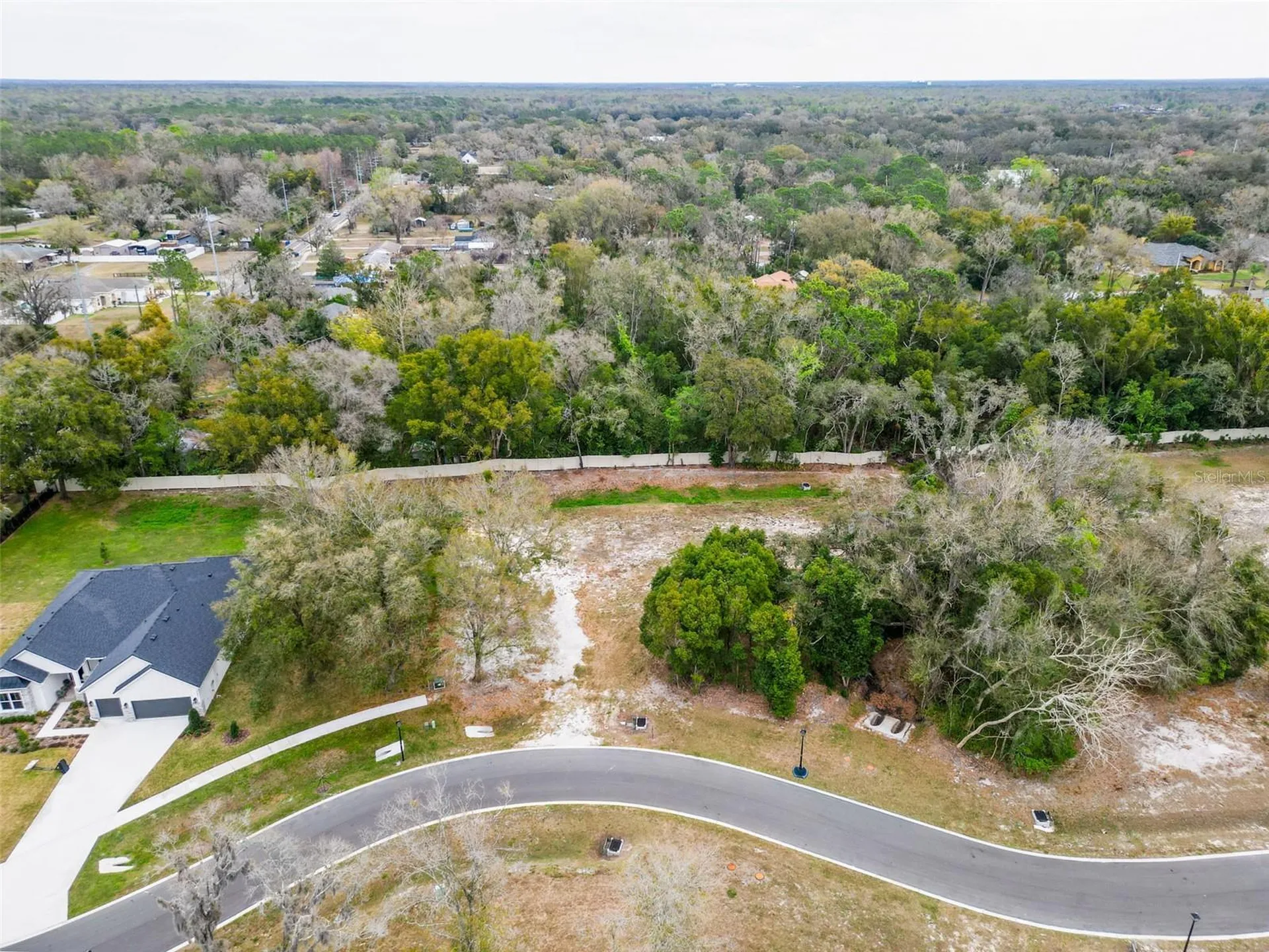 18469 Purple Creek Lane Lutz FL 33549