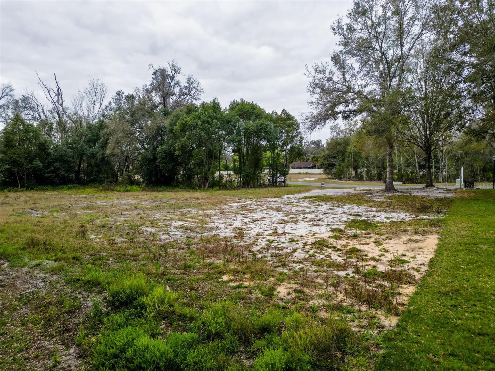 18469 Purple Creek Lane Lutz FL 33549