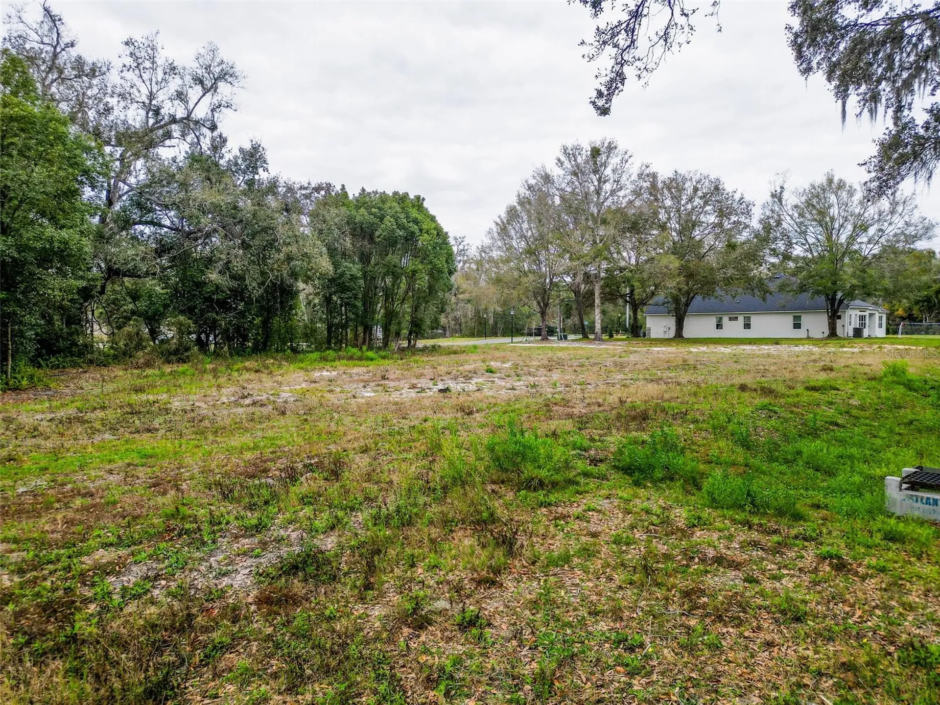 18469 Purple Creek Lane Lutz FL 33549