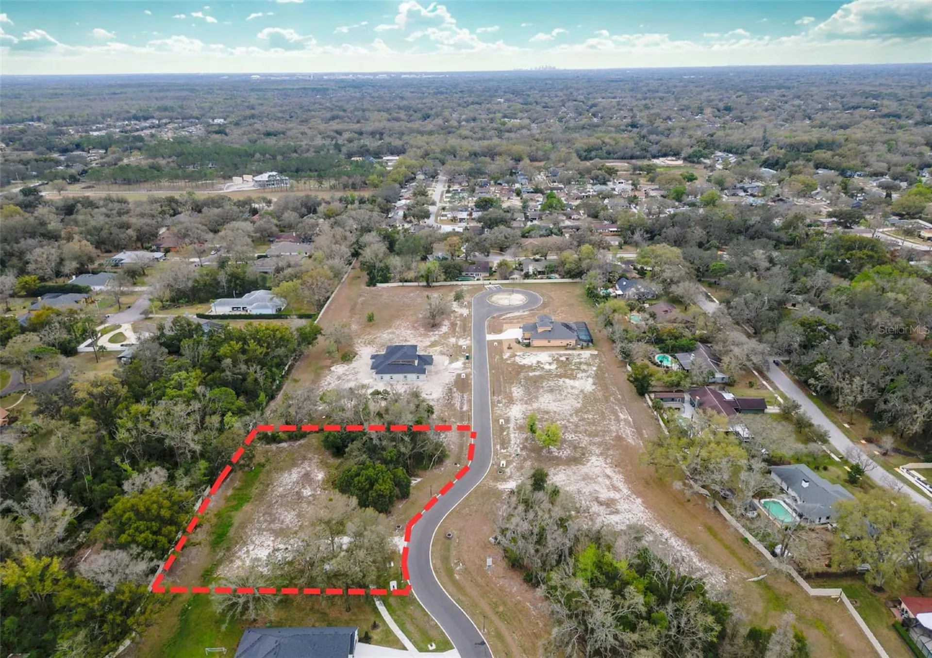 18469 Purple Creek Lane Lutz FL 33549