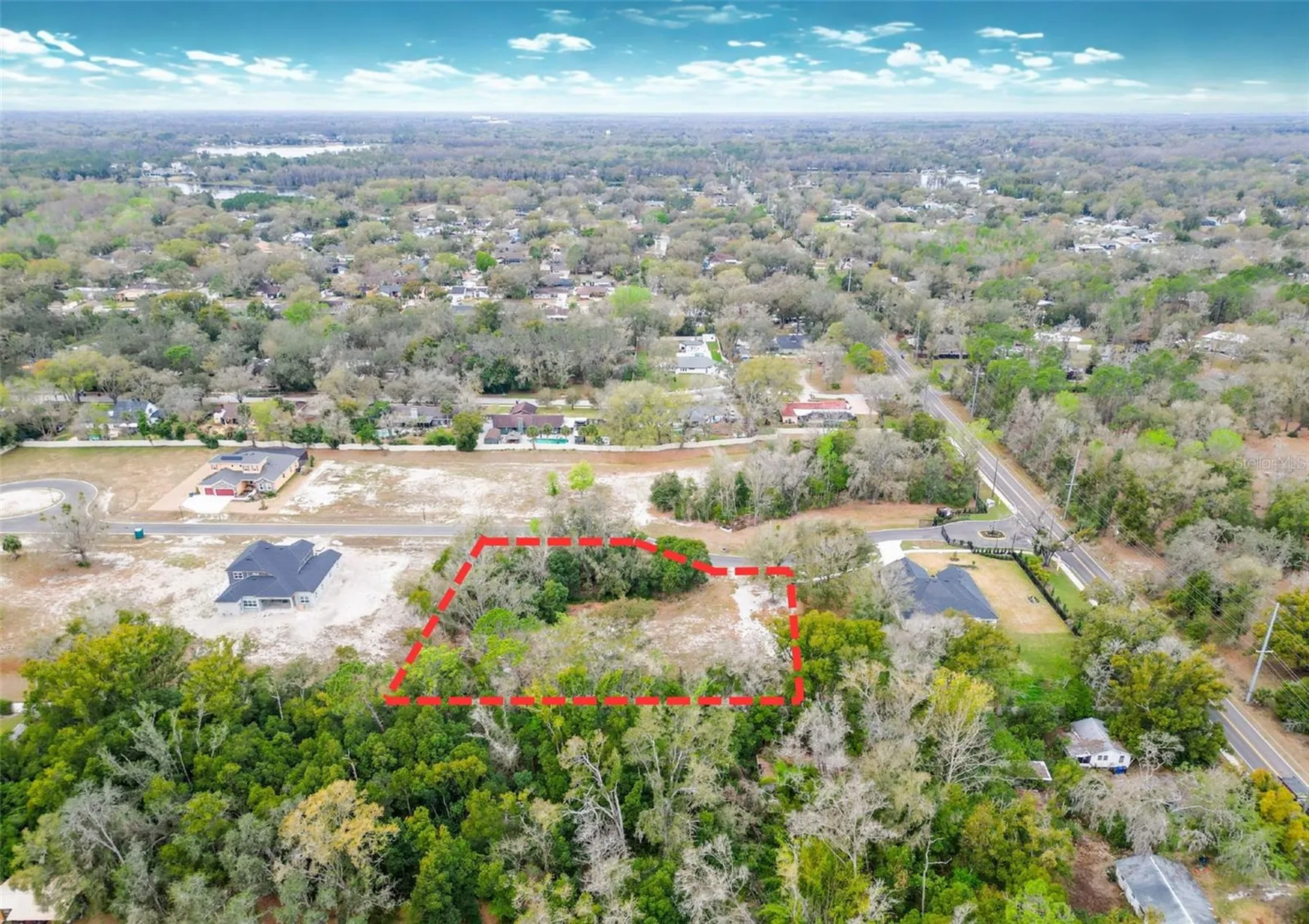 18469 Purple Creek Lane Lutz FL 33549