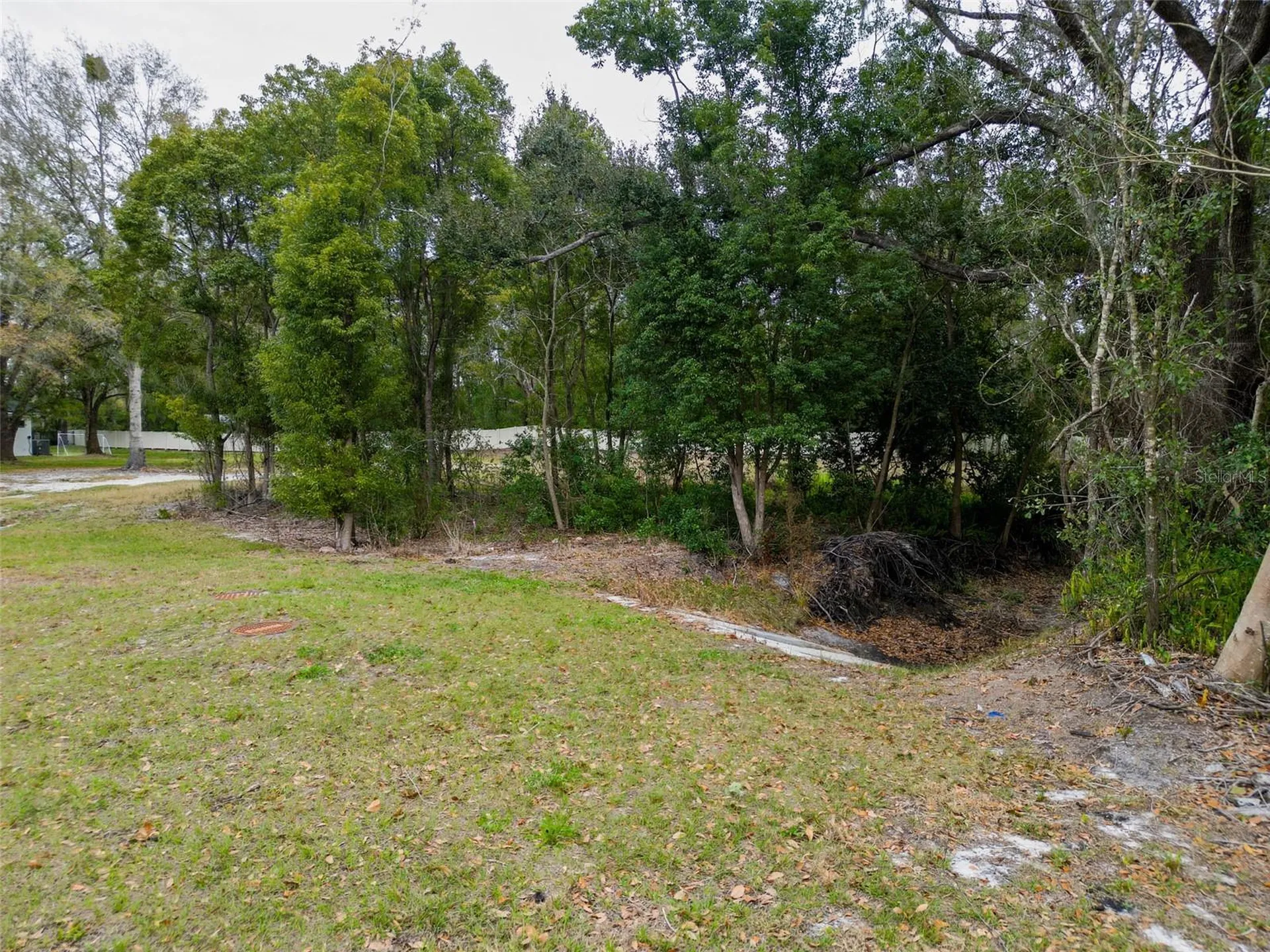 18469 Purple Creek Lane Lutz FL 33549