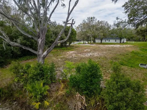 18469 Purple Creek Lane Lutz FL 33549
