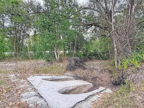 18469 Purple Creek Lane Lutz FL 33549