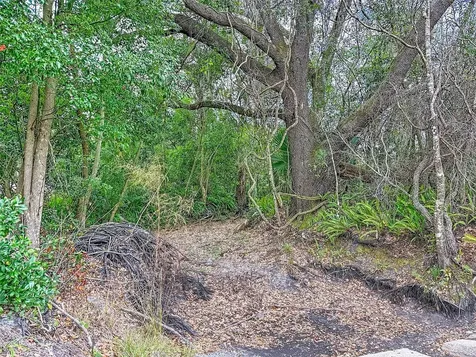 18469 Purple Creek Lane Lutz FL 33549