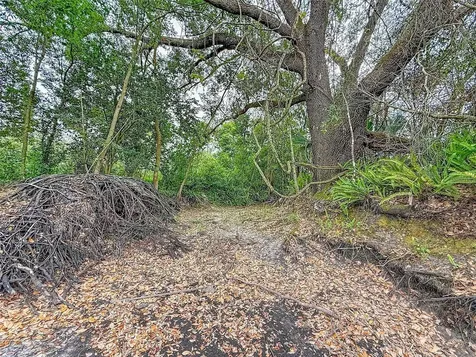 18469 Purple Creek Lane Lutz FL 33549