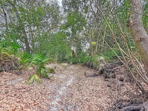 18469 Purple Creek Lane Lutz FL 33549