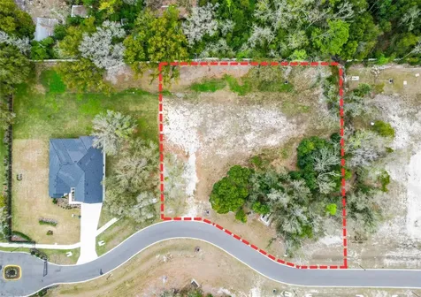 18469 Purple Creek Lane Lutz FL 33549