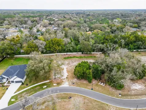 18469 Purple Creek Lane Lutz FL 33549