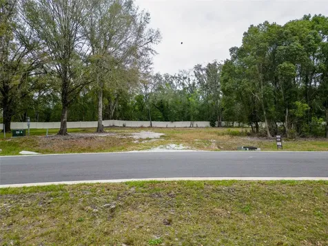 18469 Purple Creek Lane Lutz FL 33549