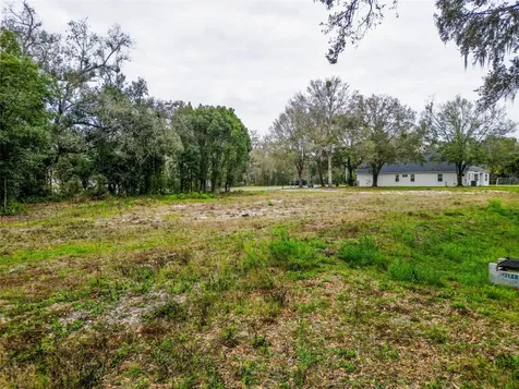 18469 Purple Creek Lane Lutz FL 33549
