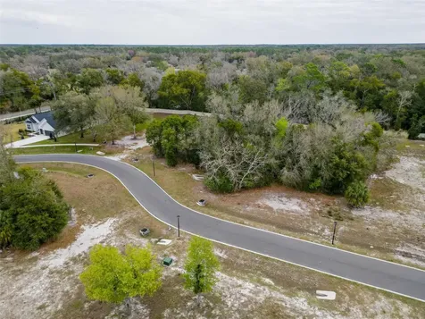 18469 Purple Creek Lane Lutz FL 33549