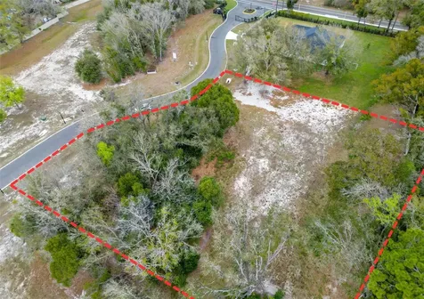 18469 Purple Creek Lane Lutz FL 33549