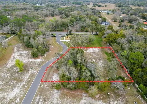 18469 Purple Creek Lane Lutz FL 33549