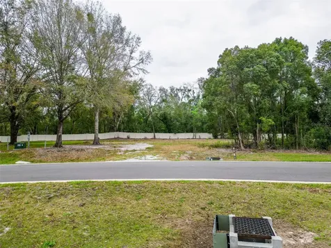 18469 Purple Creek Lane Lutz FL 33549