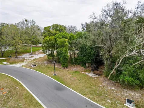 18469 Purple Creek Lane Lutz FL 33549