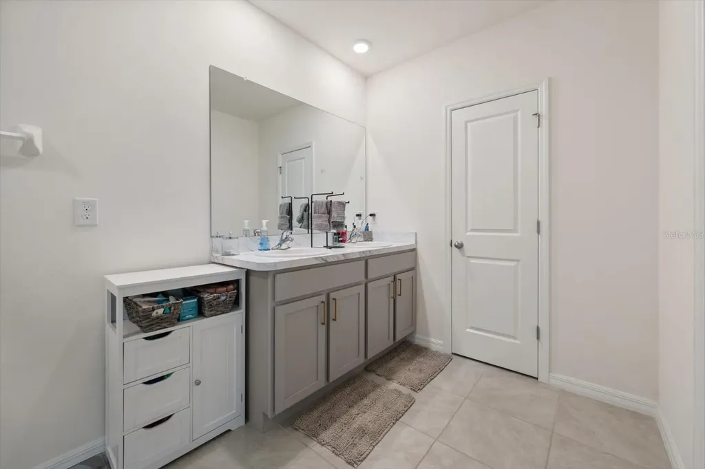 16176 Soft Fern Trace Odessa FL 33556