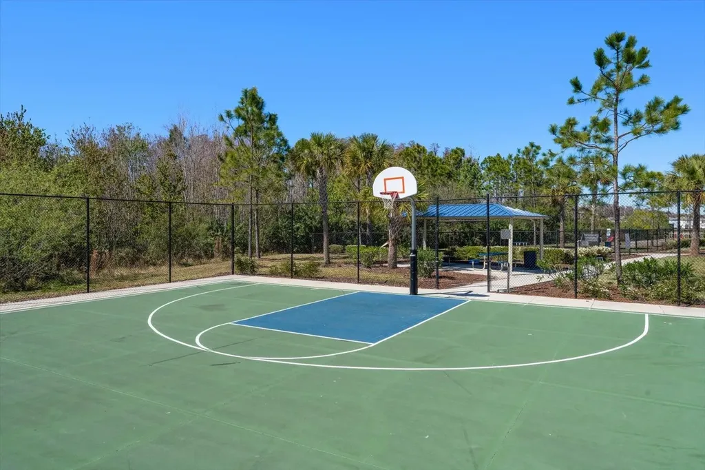 16176 Soft Fern Trace Odessa FL 33556
